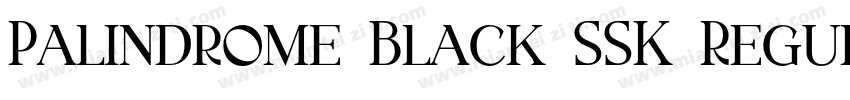 Palindrome Black SSK Regular字体转换